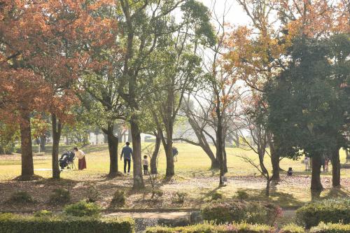 袖ケ浦公園の写真