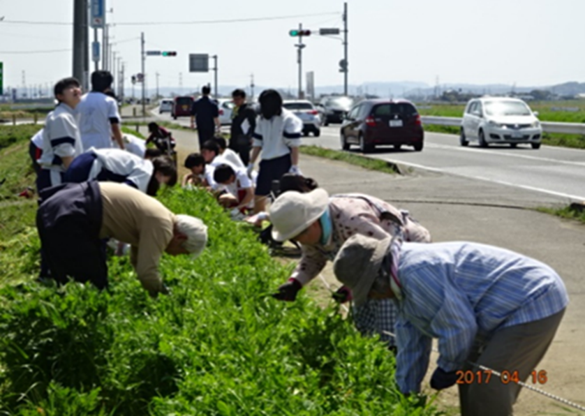 神納花の15会の活動の写真