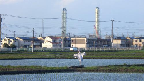 袖ケ浦駅海側の田んぼと建物などの写真