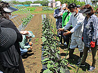 平川公民館主催の園芸講座で、ナスの仕立て方を説明する営農指導員の写真
