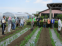 平川公民館主催の園芸講座で、圃場(畑)で営農指導員へ講座生が熱心に質問をしている様子の写真