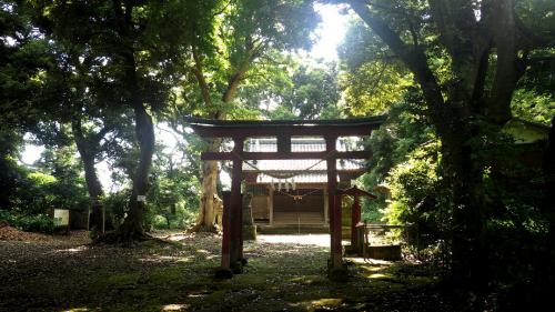 野田神社1