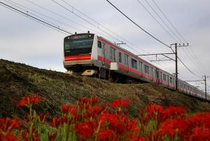 京葉線新車両