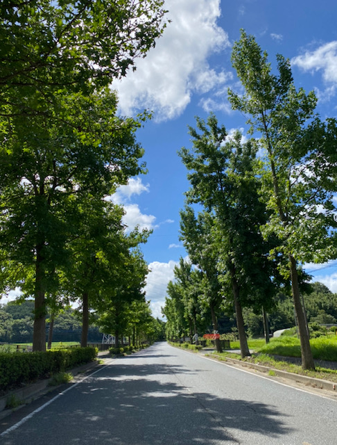 主要地方道君津平川線の写真　その１