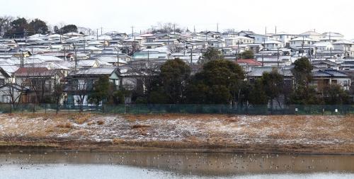 雪の写真