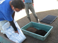 第9回、播種用の土の準備をする受講生の写真