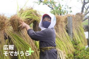 オダカケをしている写真