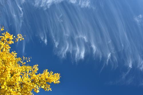 秋空