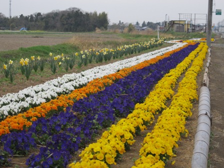 造成された花壇の写真