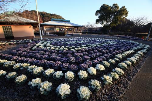 袖ケ浦公園元旦