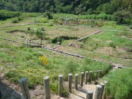 中川ビオトープ全景の写真