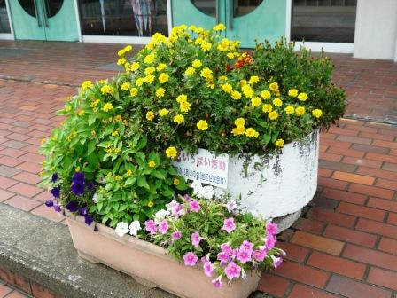 花の植栽の写真