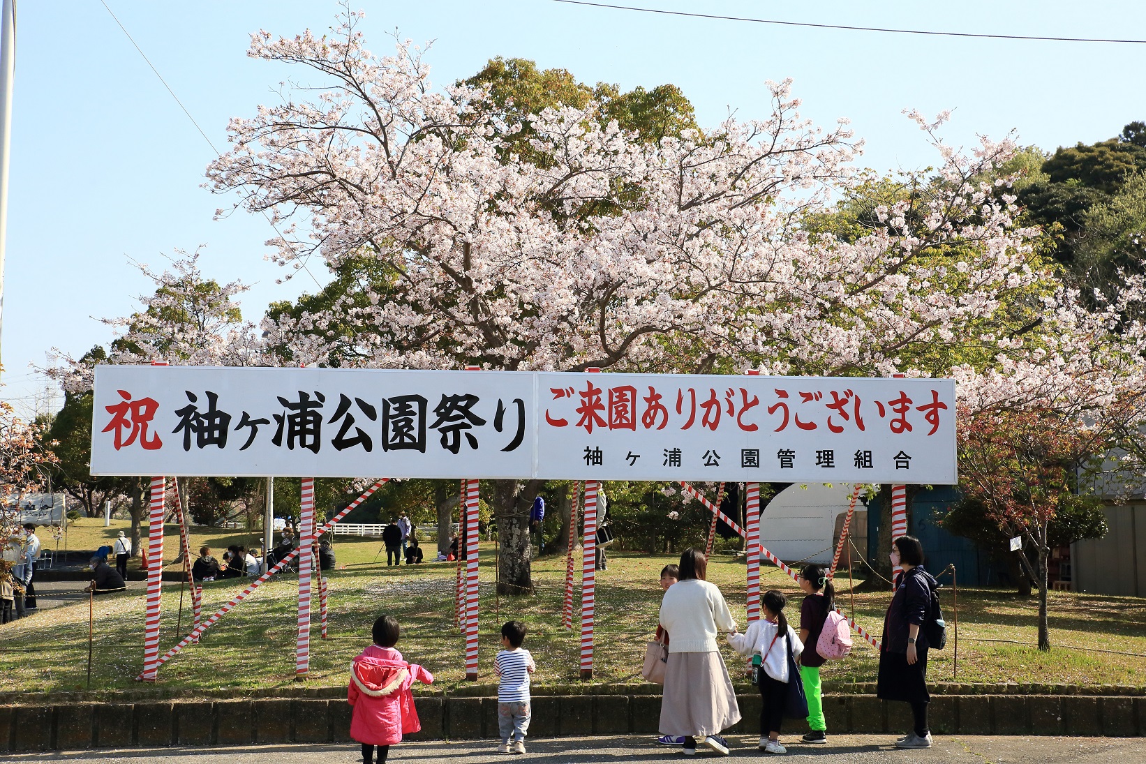 公園まつり１