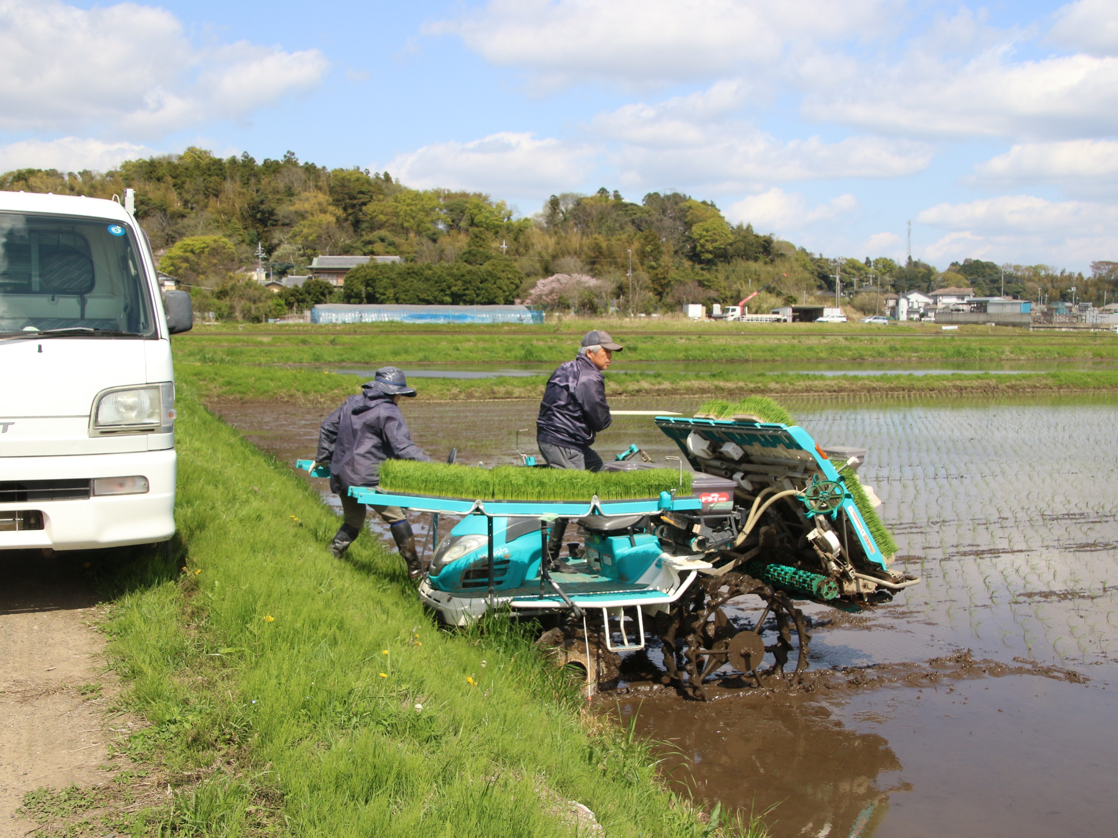 田植え一番乗り３