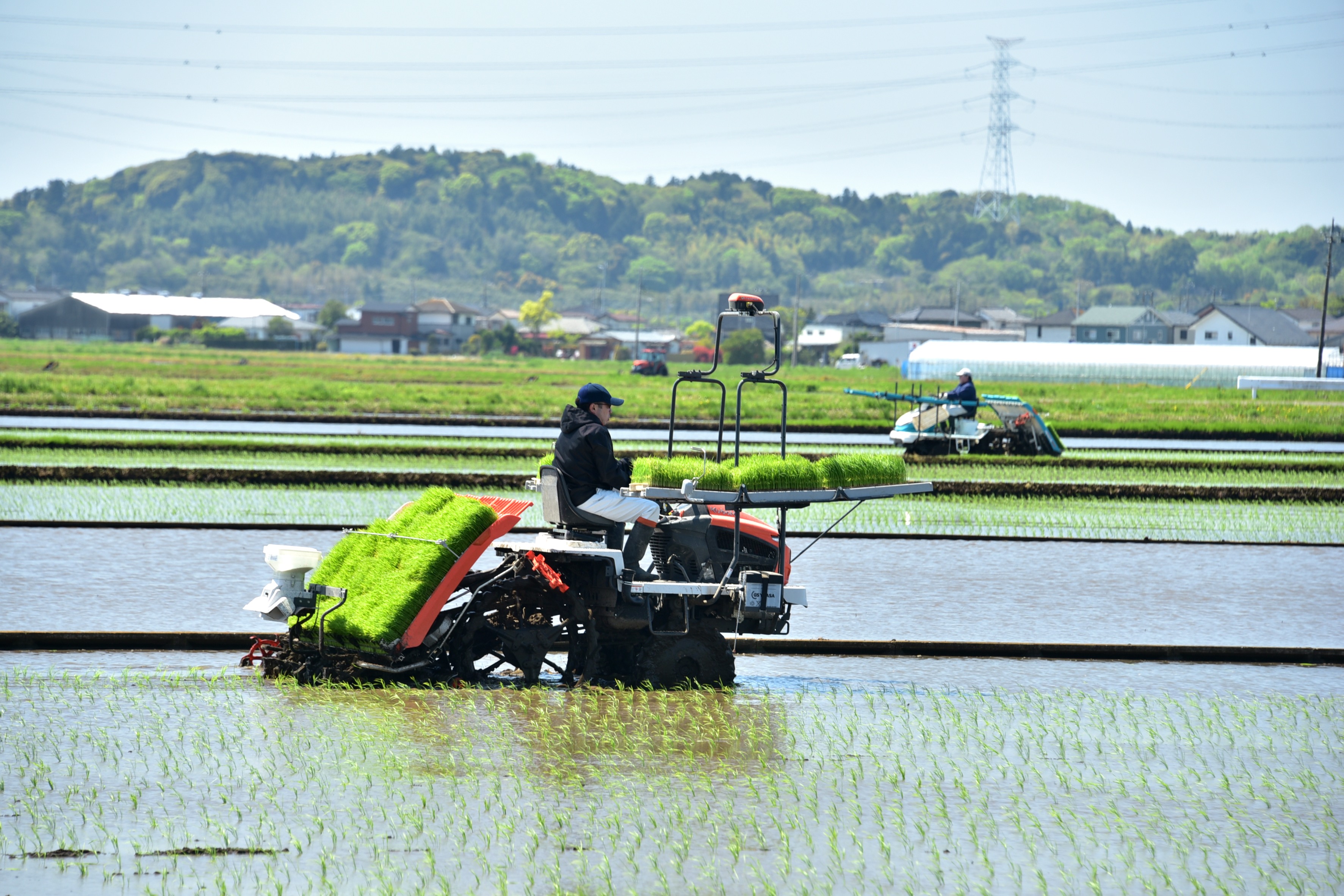 田植え銀座でにぎやかに１