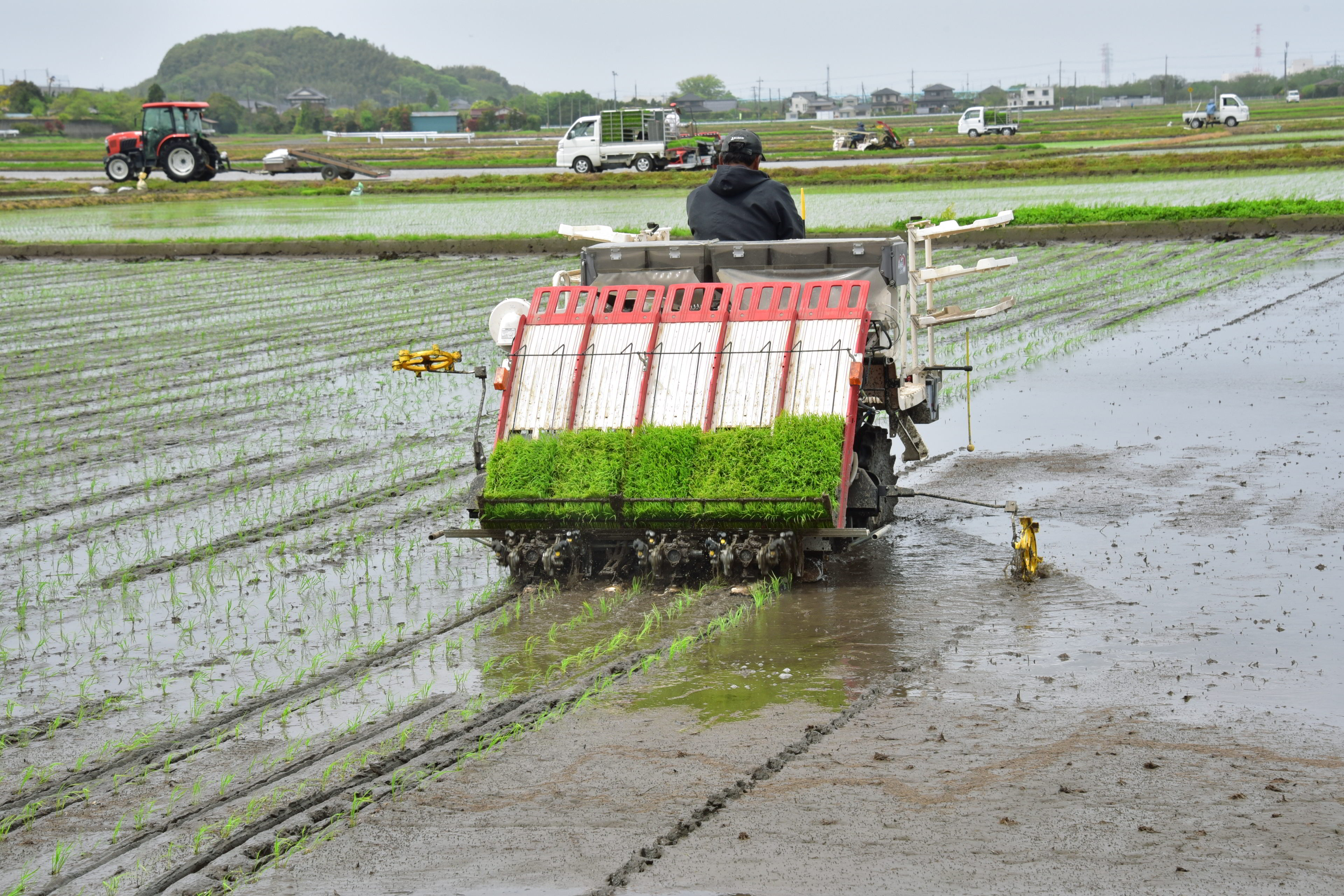 田植え銀座でにぎやかに３