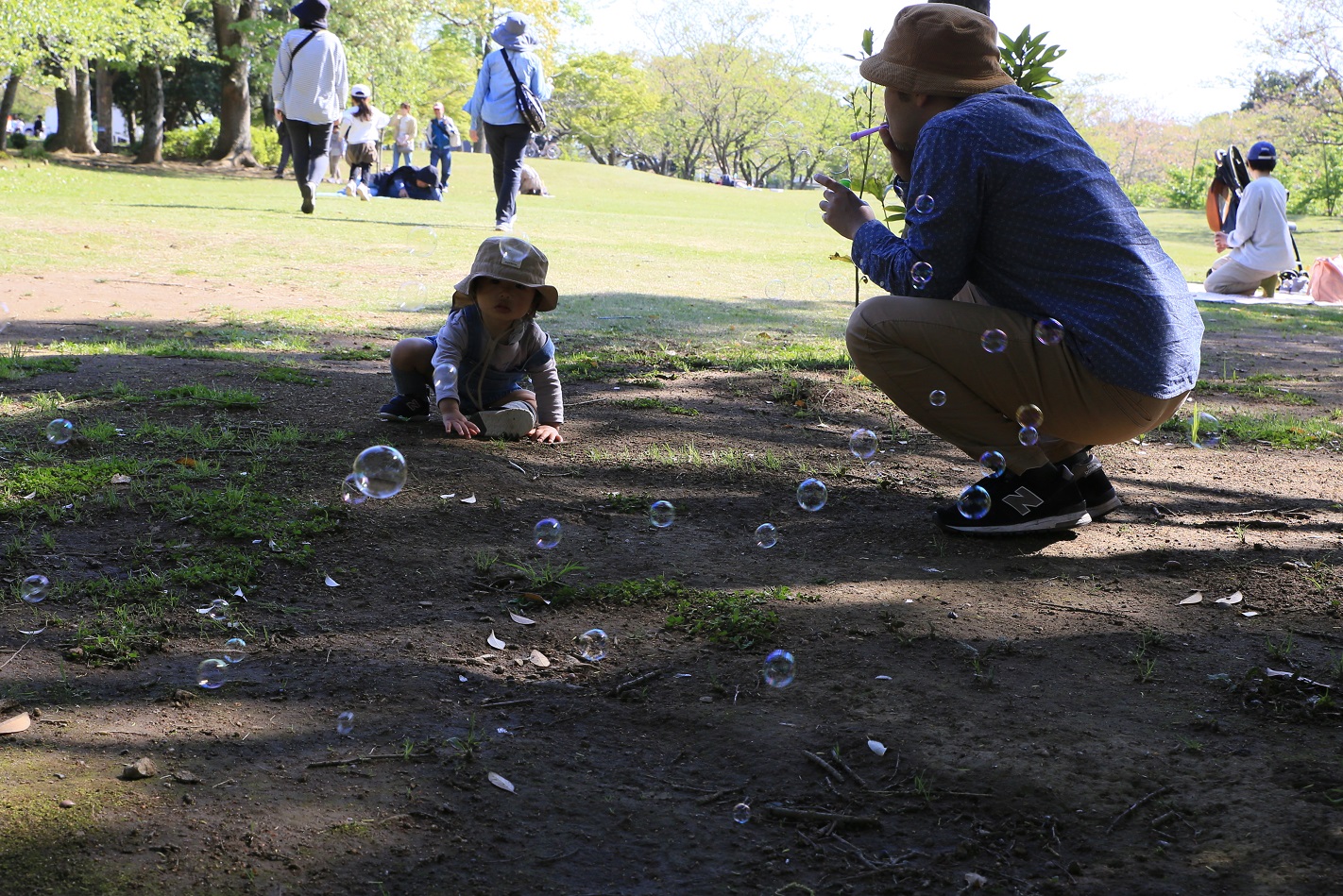 陽春の袖ケ浦公園３