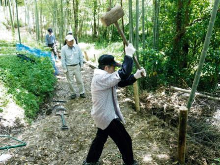 赤道の再生活動の写真