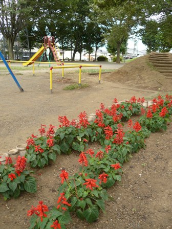 富士見公園の写真