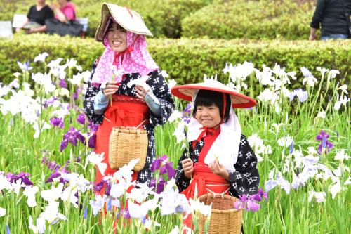 花摘み娘さんありがとう3