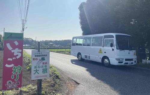 大根といちごの里を行く