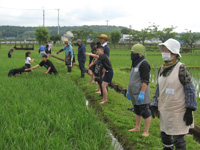 管理組合員が中川小の生徒達に草取りを指導する様子の写真