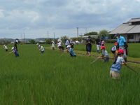 根形小の生徒達が草取りをしている様子の写真