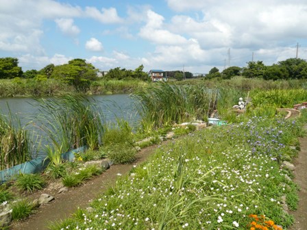 整備された池畔の写真