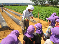 管理組合員が白ゆり保育園の園児達に苗の植え方を説明している様子の写真