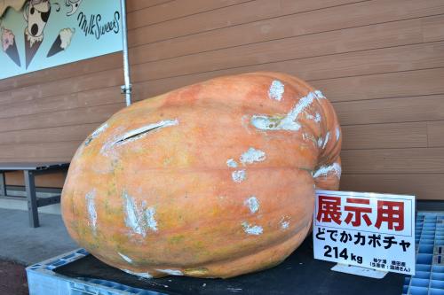 どでかカボチャ