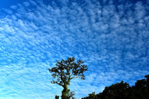 9月の空