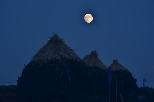 落花生ボッチ積み