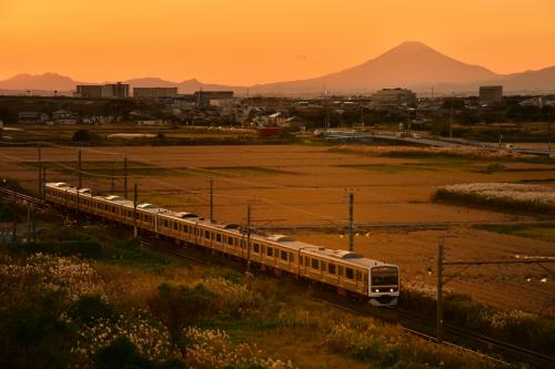 鉄道は市民の大切な乗り物