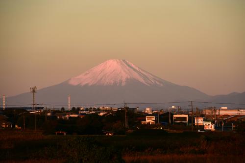 晩秋の朝