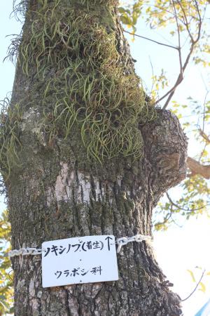 冬の「百目木公園」