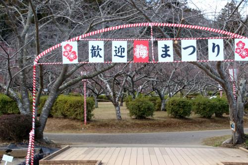 「紅梅」咲く袖ケ浦公園