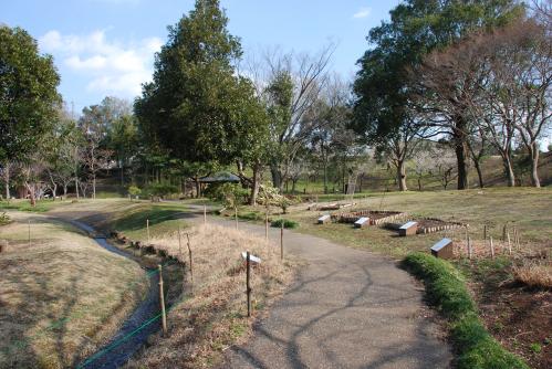 万葉植物園の風景