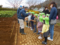 管理組合員が吉野田保育所の園児達に種芋の植え方を説明している様子の写真