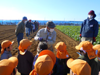 みどりの丘保育園の園児達が種芋の植え方の説明を聞いている様子の写真