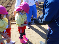 さつき幼稚園の園児が種芋を受け取っている様子の写真
