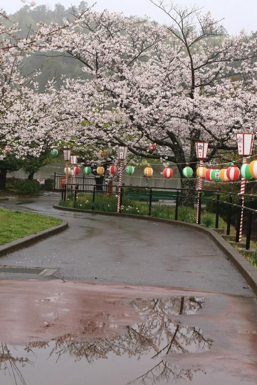 「袖ケ浦公園」雨情