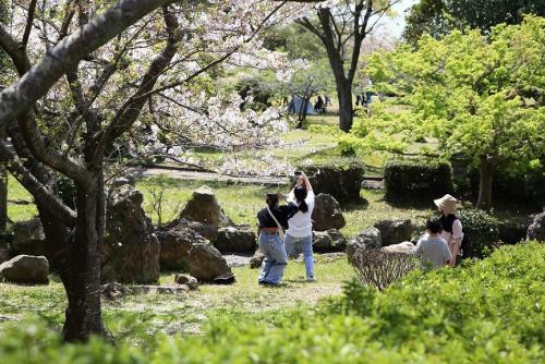 晴天の下、春を楽しむ