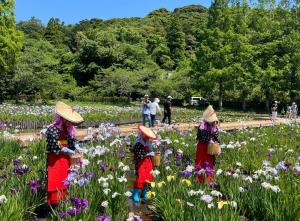 花ガラ摘みの様子の写真
