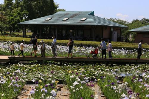 休日の袖ケ浦公園