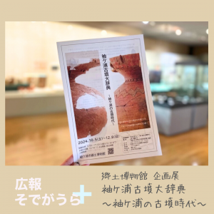 企画展の写真