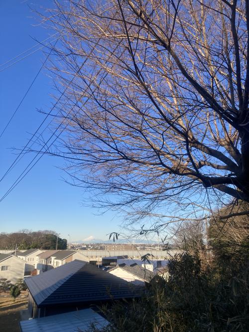 快晴の富士山