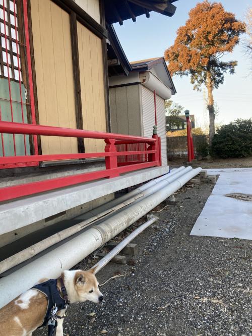 八雲神社周辺のおさんぽ