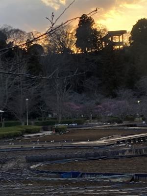 袖ケ浦公園