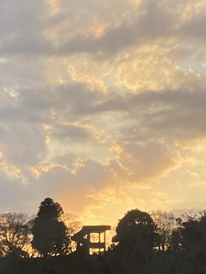袖ケ浦公園