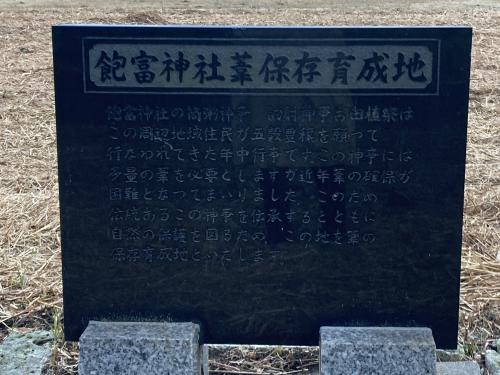 袖ケ浦公園